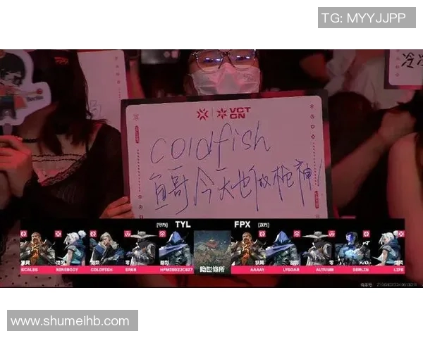 深入分析FPX在英雄联盟中的区域防守策略与电竞实时数据解读