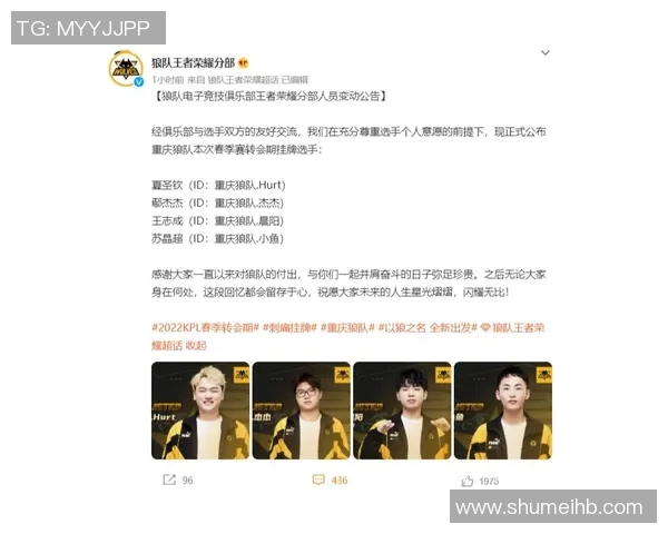 esports数据聚焦王者荣耀V5的节奏变化与战术创新探讨
