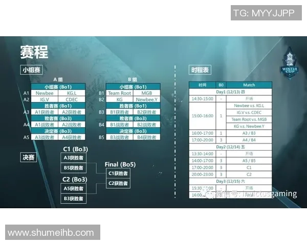 深入探讨DOTA2IG战队的比赛经验与战术分析分享实时新闻